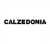Calzedonia logo