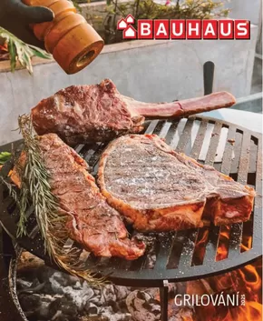 Bauhaus katalog | Nabídky pro lovce výhodných nákupů | 2025-04-04T00:00:00.000Z - 2025-12-31T00:00:00.000Z