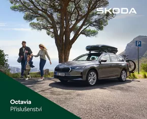 Škoda katalog | Skvělá nabídka pro všechny zákazníky | 2025-04-22T00:00:00.000Z - 2026-04-22T00:00:00.000Z