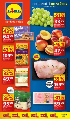 Lidl katalog v Dvůr Králové nad Labem | Top nabídky pro šetrné zákazníky | 2025-06-19T00:00:00.000Z - 2025-06-29T00:00:00.000Z