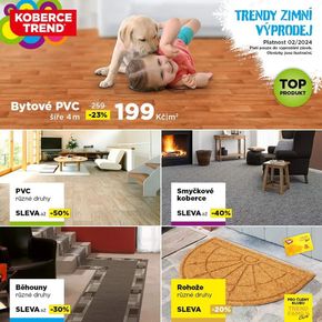 Koberce Trend katalog v Olomouc | Koberce Trend leták | 2024-02-01 - 2024-02-29