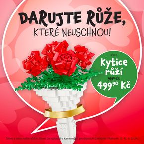 Bambule katalog v Žďár nad Sázavou | Darujte růže, které neuschnou! | 2024-05-10 - 2024-05-12