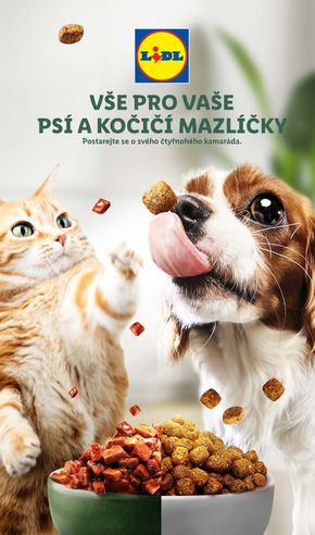 Lidl katalog v Brandýs nad Labem-Stará Boleslav | Vše pro vaše psí a kočičí mazlíčky | 2024-05-23 - 2024-05-26